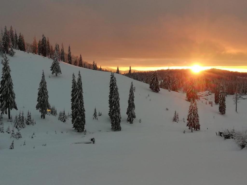 Lodge La 5 Casute